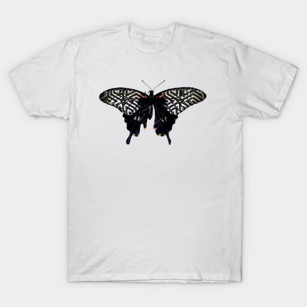 Butterfly Abstract Pattern T-Shirt by i2studio